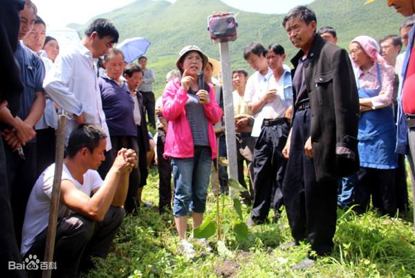 李葦潔獼猴桃專(zhuān)家