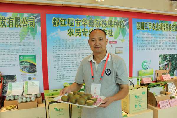 四川成都都江堰獼猴桃協(xié)會會長晏志強(qiáng)