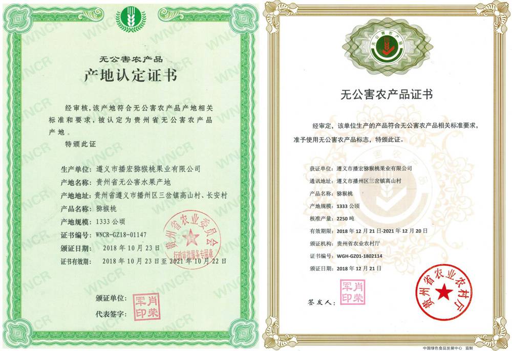執(zhí)照獼猴桃