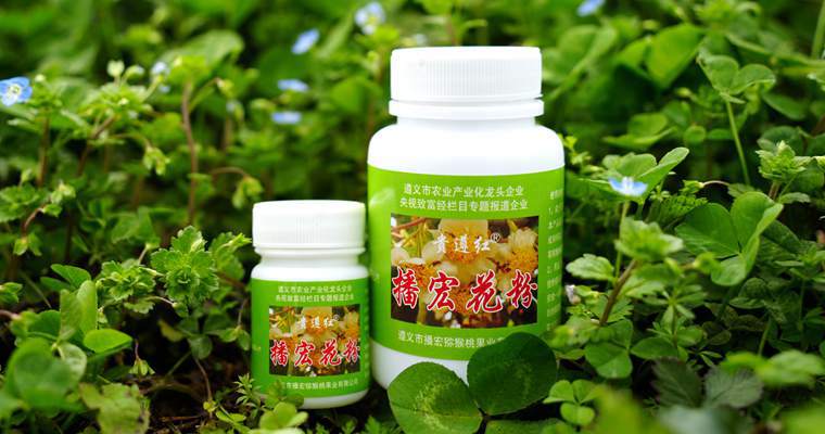 逆境中尋出路 貴州遵義三岔鎮(zhèn)獼猴桃小花粉 做出新產(chǎn)業(yè)