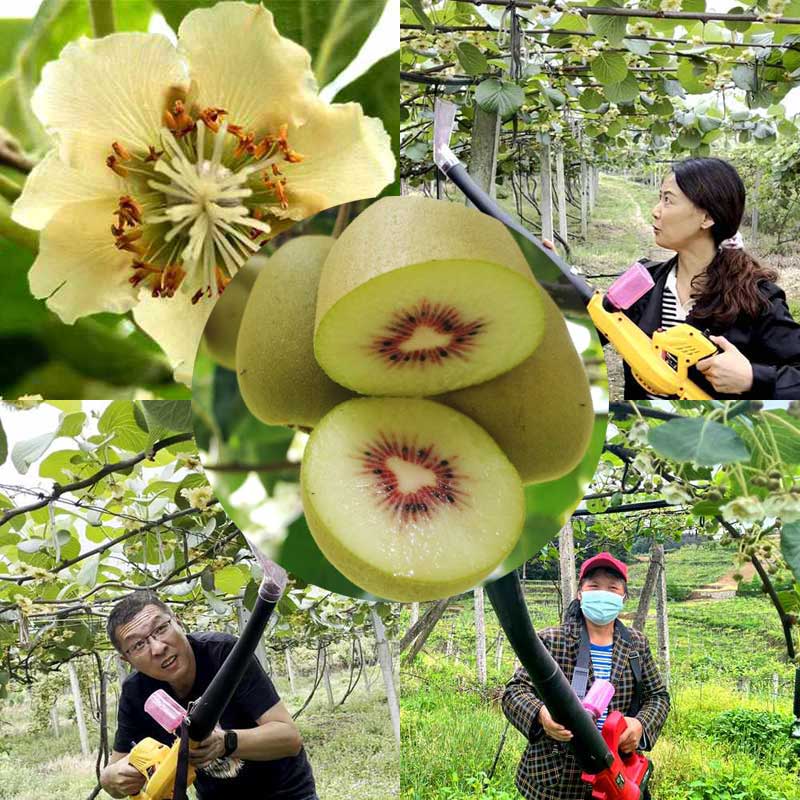kiwi pollen applicator