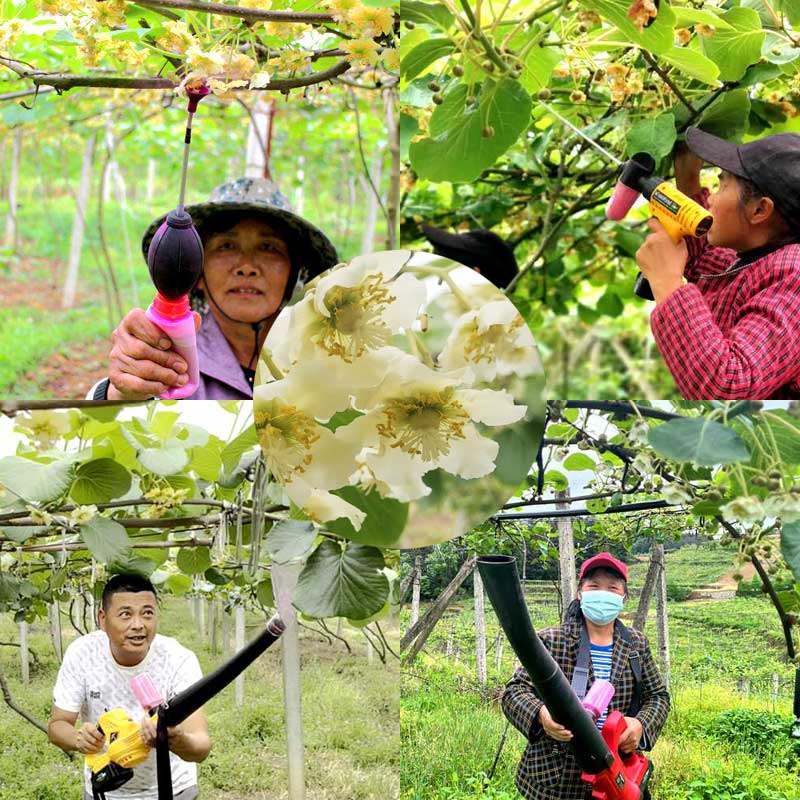 Kiwi pollination equipment