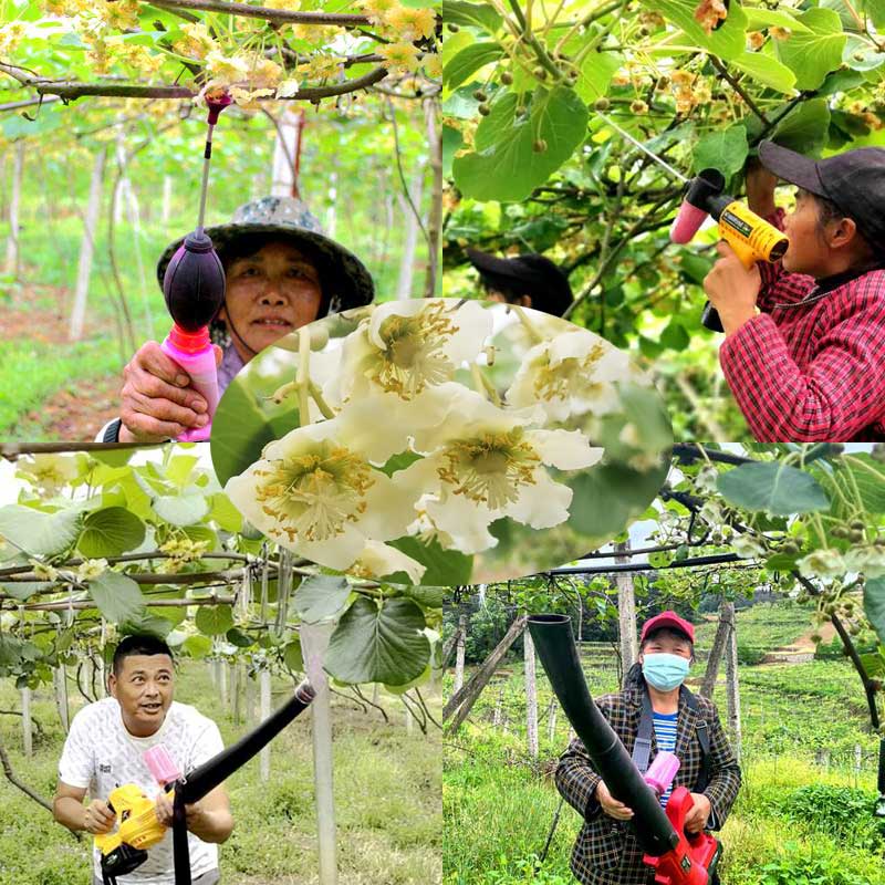 kiwi pollen applicator