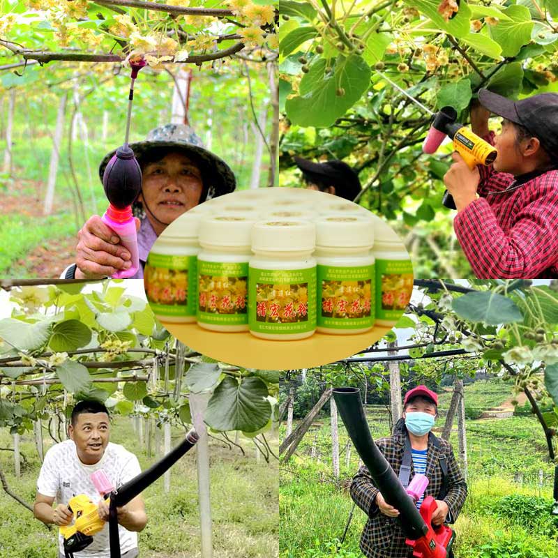 SunGold Kiwifruit pollination equipment