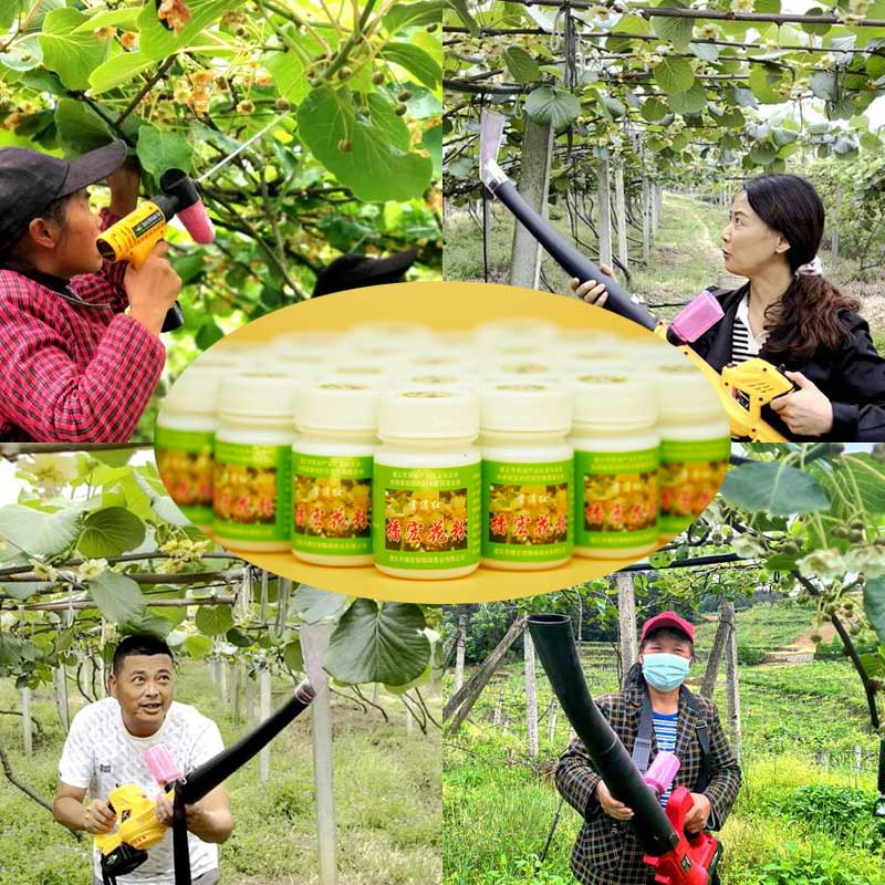 Zespri red heart Kiwifruit pollination equipment