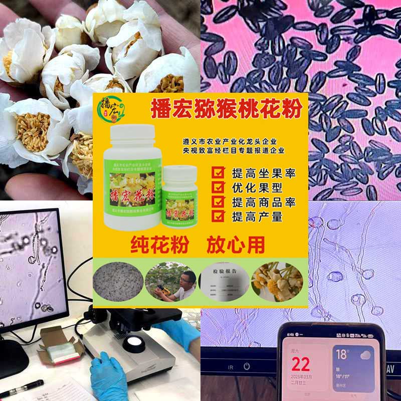 貴州播宏獼猴桃花粉