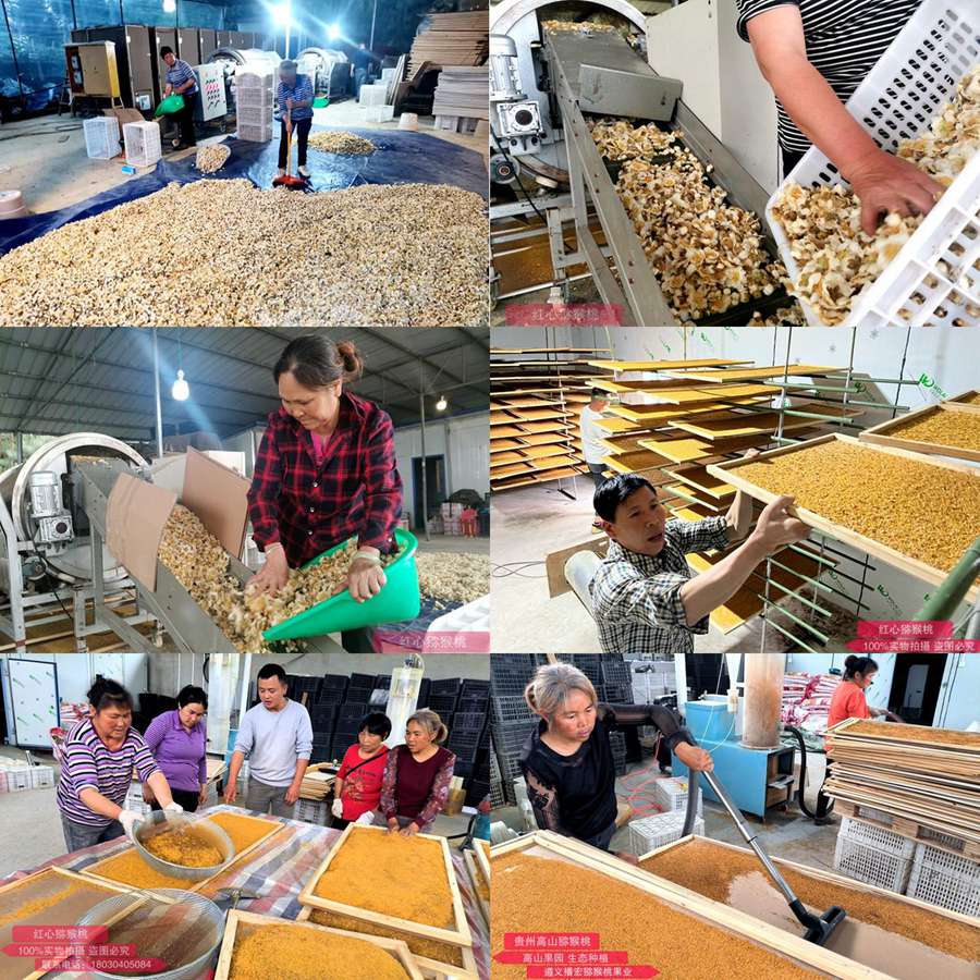 Manufacturing and processing flow of kiwi pollen