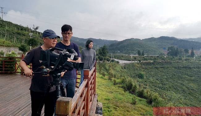 記者采訪四川獼猴桃基地