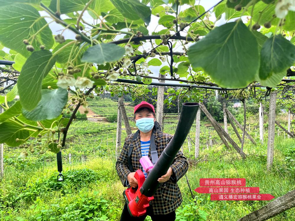 大型獼猴桃電動鼓風(fēng)授粉機