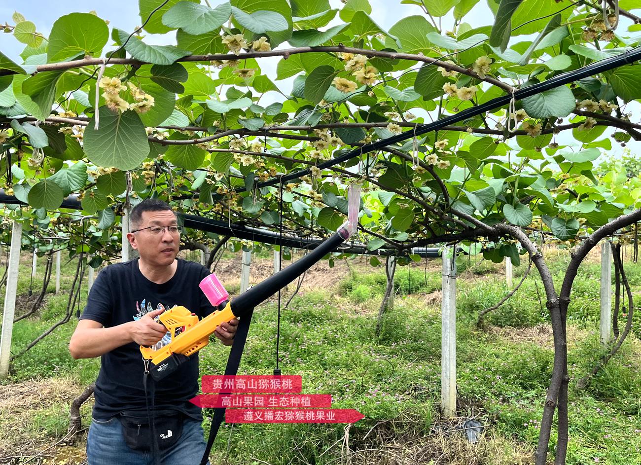 Kiwi electric pollination machine using lithium batteries