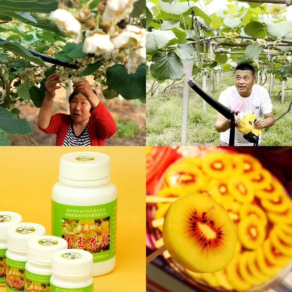 kiwi pollen for sale