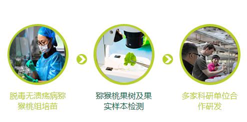 南京翠洋農科 南京翠洋農科