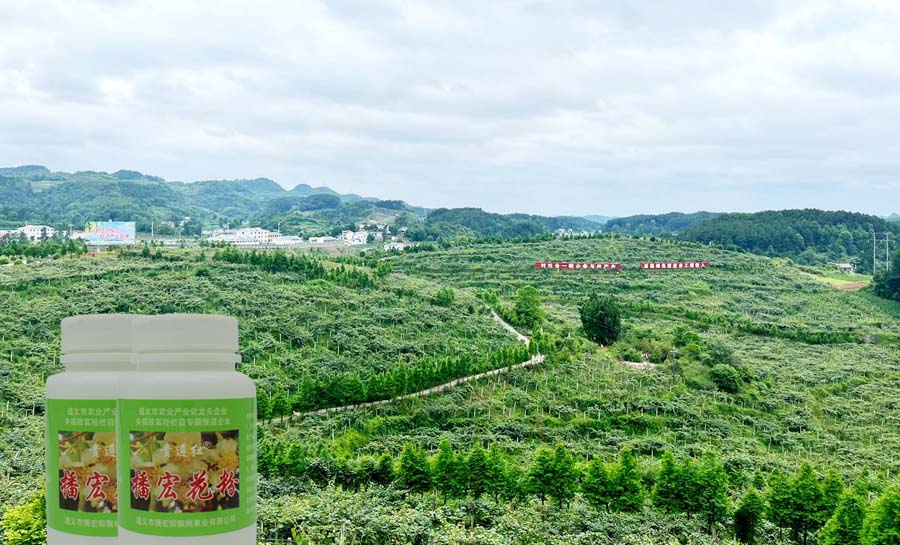 貴州獼猴桃花粉