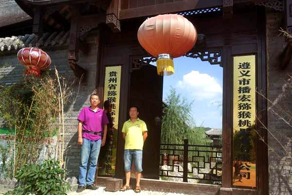播州區(qū)三岔鎮(zhèn)獼猴桃