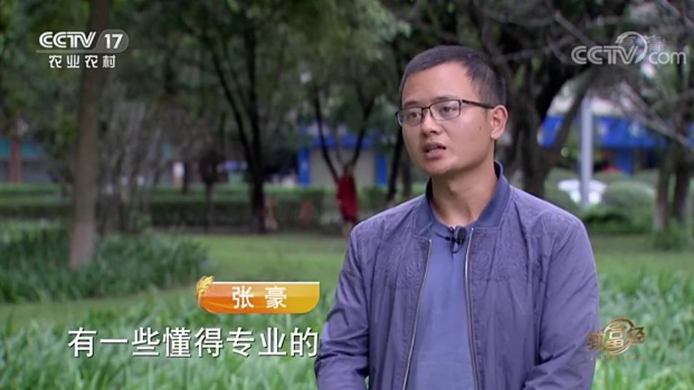 中央電視臺致富經(jīng)播宏公司獼猴桃