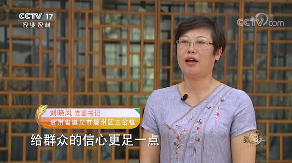 中央電視臺致富經(jīng)播宏公司獼猴桃