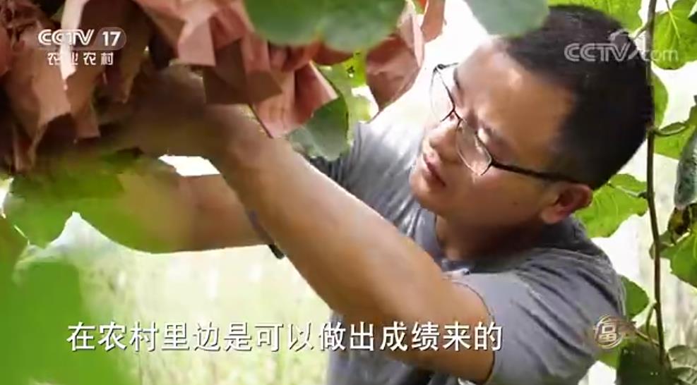 中央電視臺致富經(jīng)播宏公司獼猴桃
