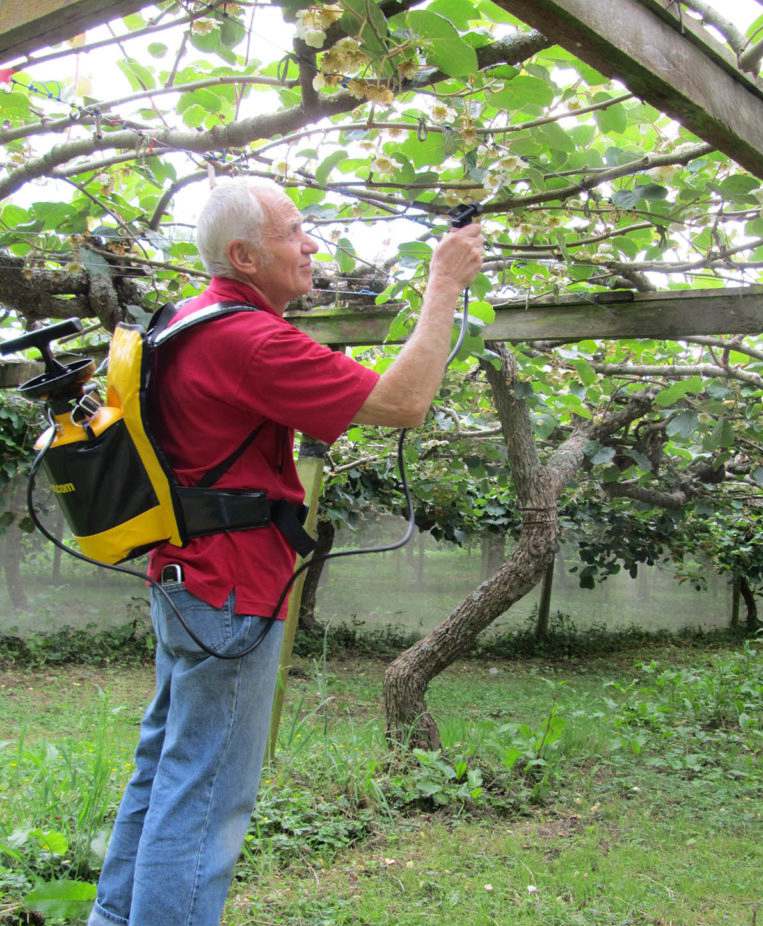 Electric kiwipollination tool