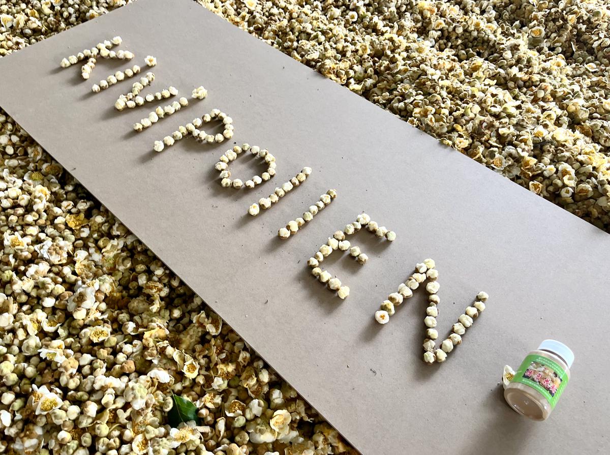 Kiwi pollen processing site