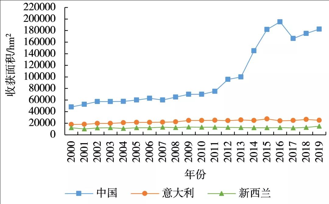 紅心獼猴桃黃心獼猴桃品種