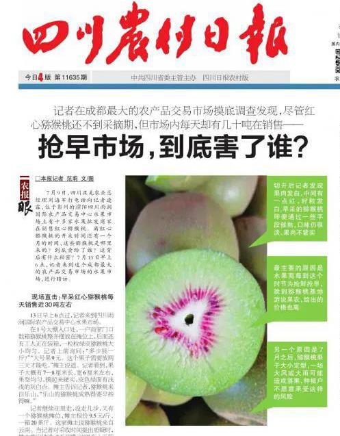 紅心獼猴桃網(wǎng)上銷售 紅心獼猴桃網(wǎng)上銷售