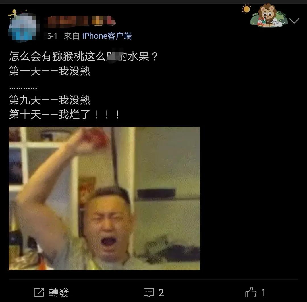 紅心獼猴桃網(wǎng)上銷售 紅心獼猴桃網(wǎng)上銷售