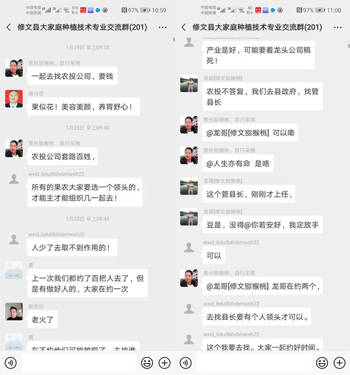 貴州修文農投公司獼猴桃