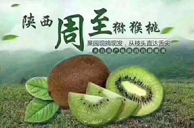 陜西獼猴桃