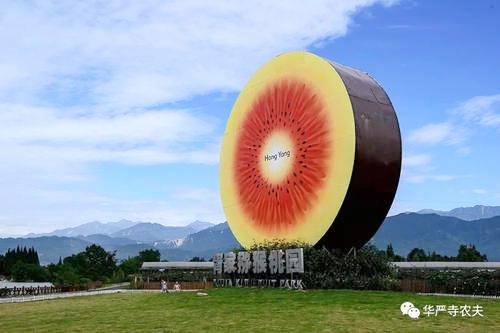 四川獼猴桃