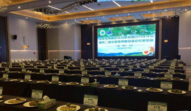 中國獼猴桃產(chǎn)業(yè)技術(shù)創(chuàng)新戰(zhàn)略聯(lián)盟