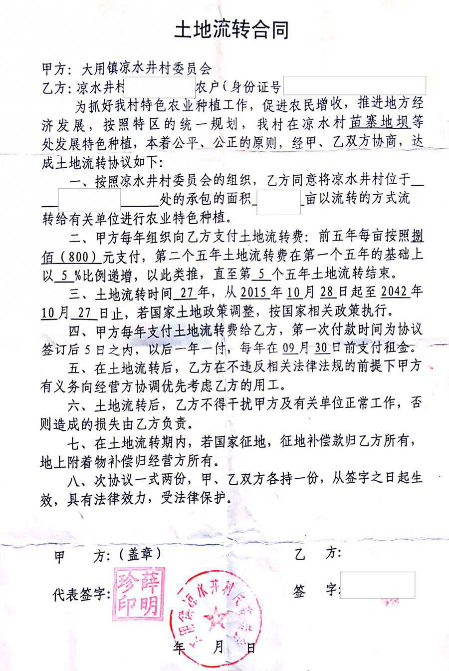 六盤(pán)水獼猴桃