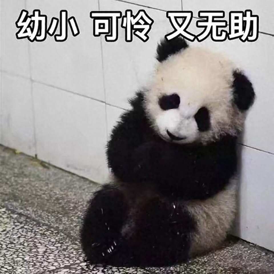 六盤(pán)水獼猴桃