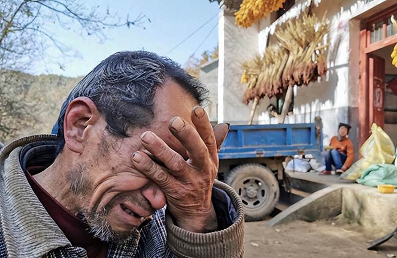 六盤(pán)水獼猴桃