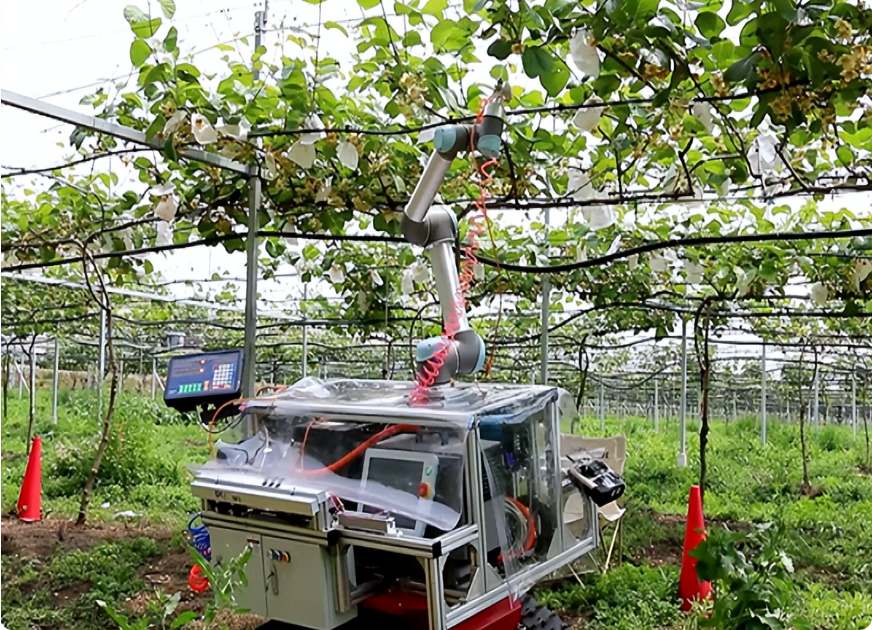 獼猴桃授粉機器人