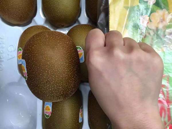 陽光金果