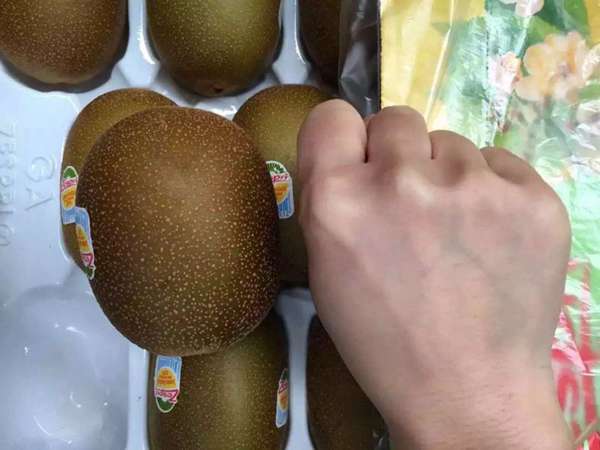陽光金果