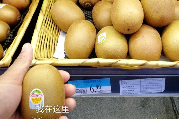陽(yáng)光金果G3獼猴桃