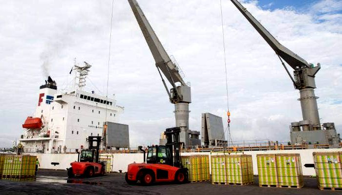 zespri kiwifruit Import and export