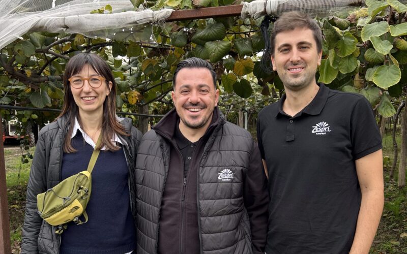 Kiwifruit research technologist