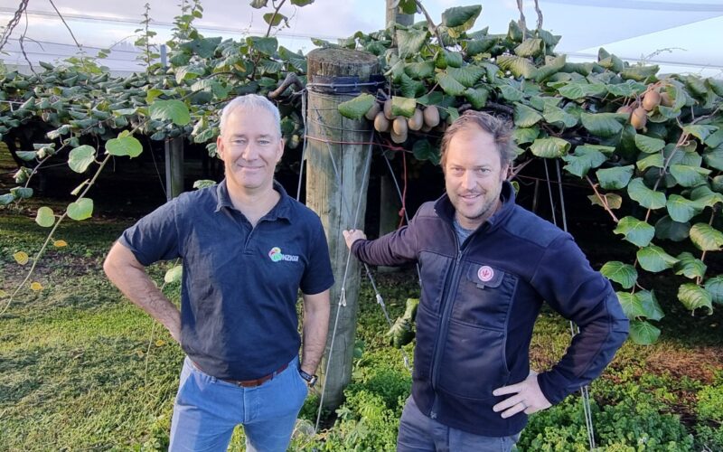Macaque peach blossoms in full bloom Macaque peach blossoms in full bloom