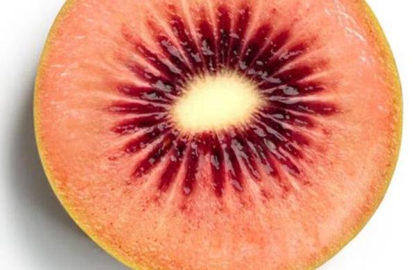 zespri redkiwi