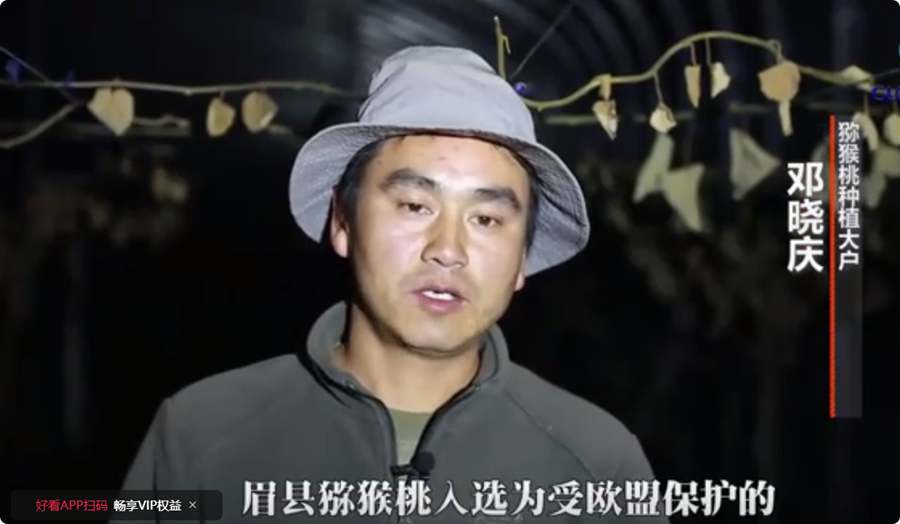 獼猴桃專家鄧曉慶