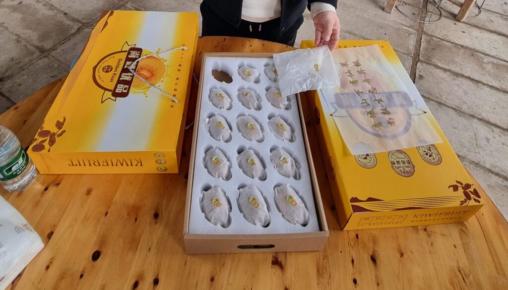 紅心獼猴桃 充分授粉的紅心獼猴桃