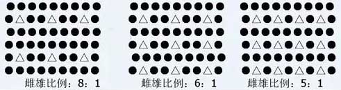 紅心獼猴桃標(biāo)準(zhǔn)化生產(chǎn)十大關(guān)鍵技術(shù)